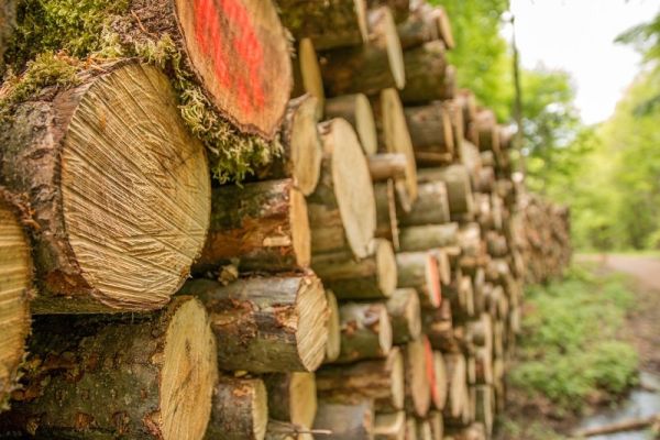 Στα περσινά επίπεδα οι τιμές των καυσόξυλων στον Ν. Καρδίτσας - Μικρός, προς το παρόν, ο αριθμός των παραγγελιών