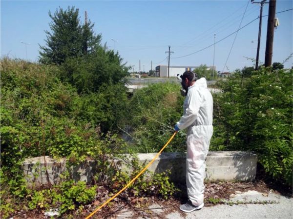 Έγκριση προγράμματος καταπολέμησης κουνουπιών στην Π.Ε. Καρδίτσας για το 2024