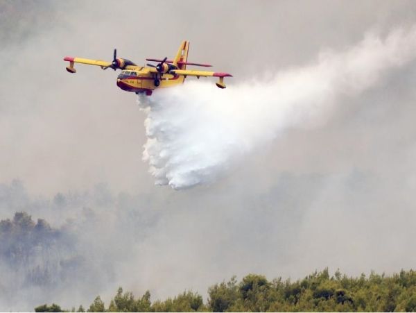 Αναγκαστική προσγείωση πυροσβεστικού αεροσκάφους κοντά στη λίμνη του Μαραθώνα - Καλά στην υγεία του ο πιλότος