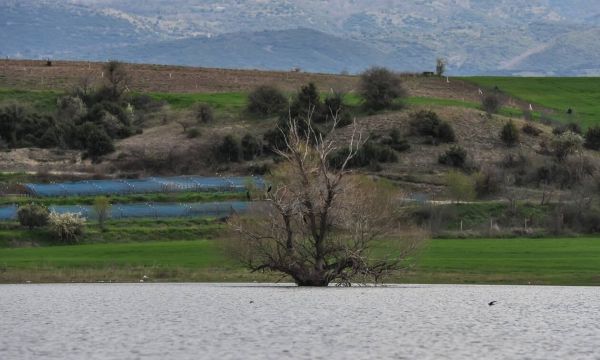 Κοζάνη: Εξαφανίστηκε 55χρονος κάτω από αδιευκρίνιστες συνθήκες στη λίμνη Πολυφύτου