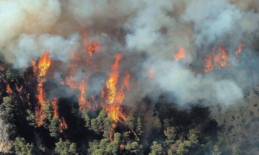 Ανακοινώθηκαν 14 μέτρα για τους πυρόπληκτους στην Αττική