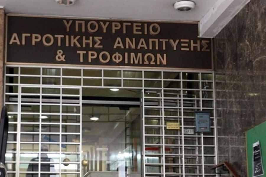 Στα 35 τα κρούσματα πανώλης των μηρυκαστικών σε όλη τη χώρα