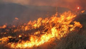 Δασική πυρκαγιά σε εξέλιξη στην περιοχή της Οξυάς, κοντά στα &quot;5Φ&quot;