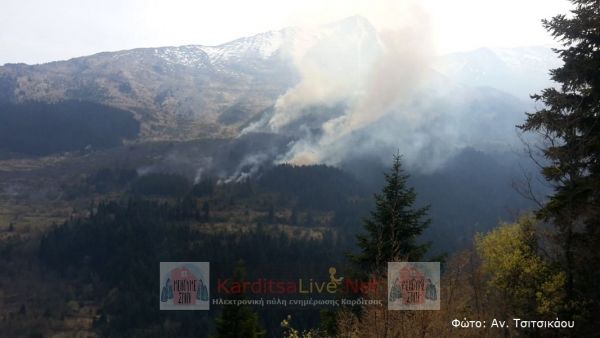 Με εναέρια και επίγεια μέσα αντιμετωπίστηκε η πυρκαγιά στο Τροβάτο Ευρυτανίας (+Φώτο +Βίντεο)