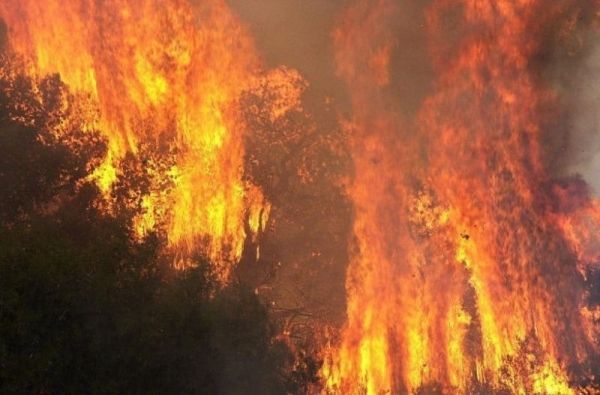 Ολονύχτια μάχη με τις φλόγες σε Ρόδο, Αίγιο, Κέρκυρα, Κάρυστο και Υλίκη