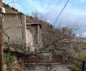 Λίμνη Πλαστήρα: Προβλήματα ηλεκτροδότησης στη Δ.Ε. Νεβρόπολης από πτώσεις δέντρων και κολονών(+Φωτο)