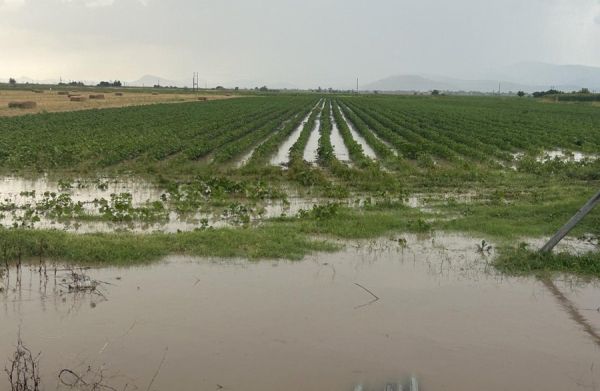 Μεγάλες ζημιές από χαλάζι και ισχυρή βροχόπτωση σε περιοχές των Σοφάδων (+Φωτο)