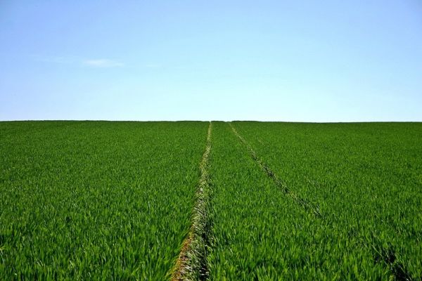 Αυξάνεται κατά 1,4 εκατ. ευρώ ο προϋπολογισμός για το πρόγραμμα Νέων Αγροτών στη Θεσσαλία