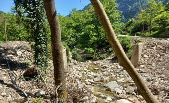 ΛΑ.ΣΥ. Θεσσαλίας: Ενα χρόνο σχεδόν μετά τις πλημμύρες, η περιφέρεια δεν έχει αποκαταστήσει τη γκρεμισμένη γέφυρα στο δρόμο για τα Στουρναραίικα Τρικάλων!!!