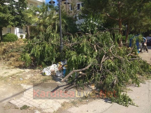 Υπηρεσία καθαριότητας Δήμου Καρδίτσας: Απαγορεύεται η εναπόθεση κλαδεμάτων σε πεζοδρόμια και κοινόχρηστους χώρους