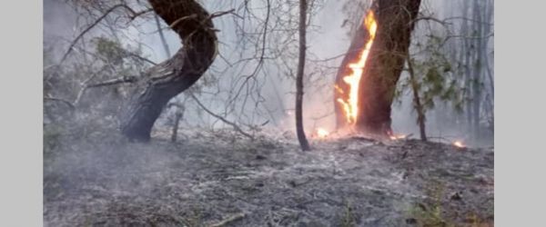 Πέντε μεγάλες πυρκαγιές σε όλη τη χώρα: Ποια η κατάστασή τους σύμφωνα με την Π.Υ. το πρωί της Παρασκευής