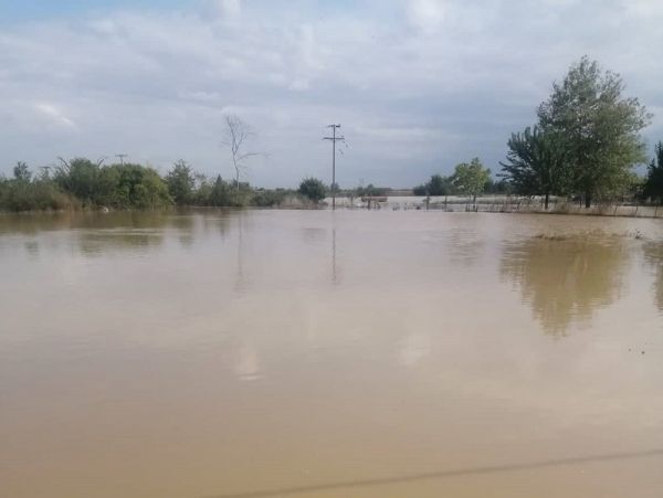 Στα 165.000 στρέμματα καλλιεργειών οι ζημιές στο Δήμο Παλαμά