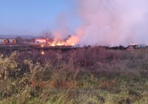 Πυρκαγιά σε δέματα με ζωοτροφές στην περιοχή των Καλυβακίων του Δήμου Παλαμά (+Φωτο)