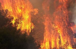 Φωτιά στο Κρυονέρι: Στα όριά του το δίκτυο ηλεκτροδότησης σύμφωνα με ανακοίνωση του ΑΔΜΗΕ