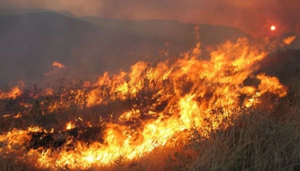 Μεγάλη πυρκαγιά σε εξέλιξη στη Θάσο