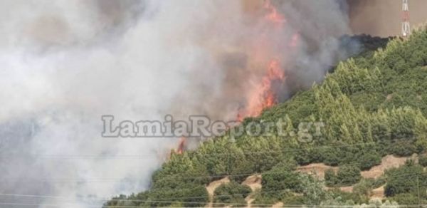 Σε εξέλιξη μεγάλη πυρκαγιά στη δυτική Φθιώτιδα(+Βίντεο)