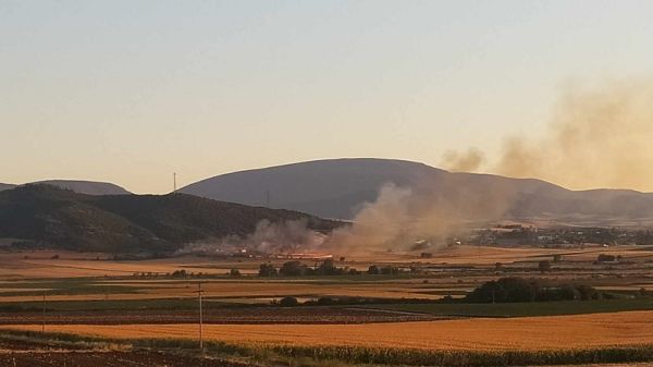 Νέα πυρκαγιά στην Αμπελιά Φαρσάλων