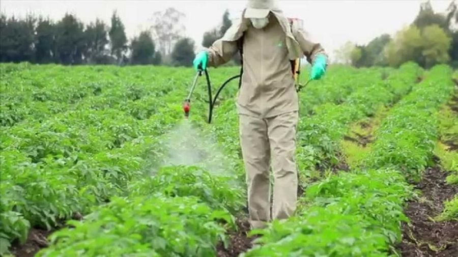 Παραβάσεις έδειξαν έλεγχοι του ΥΠ.Α.Α.Τ. για υπολείμματα φυτοφαρμάκων σε αγροτικά προϊόντα