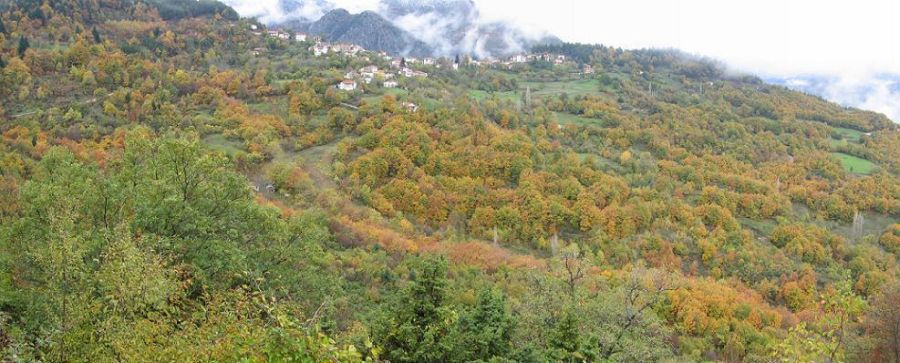 Τι δείχνει έρευνα πανεπιστημιακών για τη δημογραφική εικόνα της Θεσσαλίας