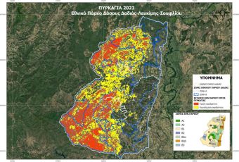 ΥΠΕΝ: Κάηκε το 58% του δάσους της Δαδιάς