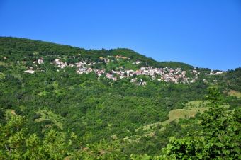 Ανατέθηκε η διαχειριστική μελέτη Δημοτικού δάσους Μορφοβουνίου για την επόμενη 10ετία