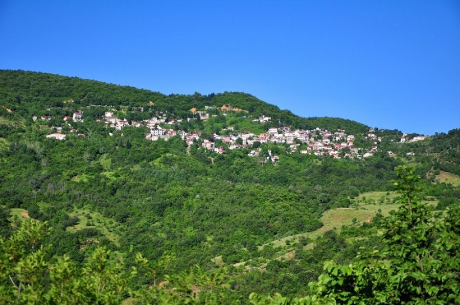 Ανατέθηκε η διαχειριστική μελέτη Δημοτικού δάσους Μορφοβουνίου για την επόμενη 10ετία