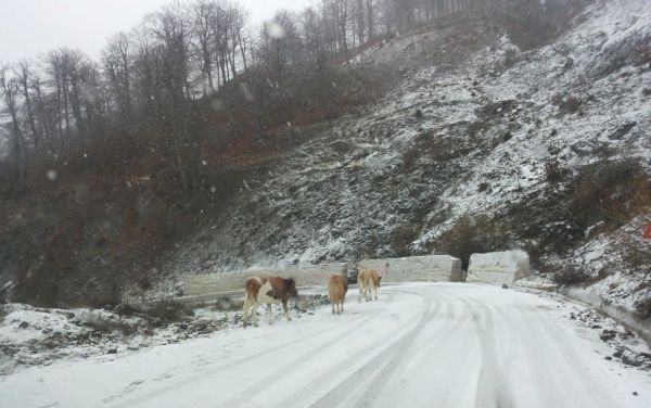 Χιόνια στα ανώτερα ορεινά του ν. Καρδίτσας και τσουχτερό κρύο