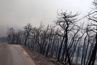 Πυρκαγιές και ψυχολογικές επιπτώσεις σε ενήλικες, παιδιά και εφήβους