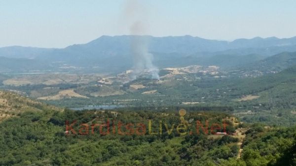 Φωτιά στον Άγιο Γεώργιο Καρδίτσας (+Βίντεο)