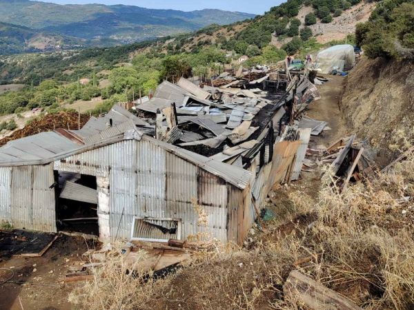 Αμφιλοχία: Κεραυνός κατέστρεψε στάβλο και αποθήκη με ζωοτροφές - Πάνω από 150 ζώα νεκρά (+Φωτο)