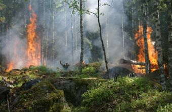 Μεγάλες διαστάσεις έχει λάβει η πυρκαγιά στα Δερβενοχώρια - Εκτός ελέγχου και στο Λουτράκι