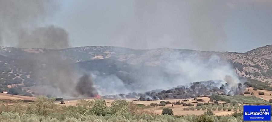 Επίγειες και εναέριες δυνάμεις πυρόσβεσης σε πυρκαγιά στο Παλαιόκαστρο Λάρισας