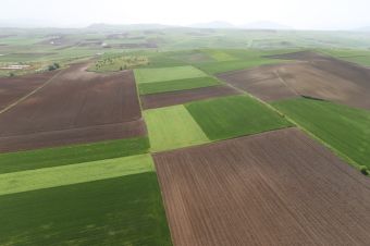 Δήμος Σοφάδων: Διακήρυξη εκμίσθωσης αγροτεμαχίων 2023