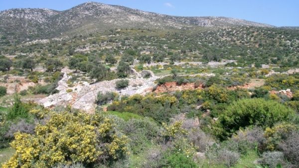 Ομόφωνη γνωμοδότηση Τεχνικού Συμβουλίου Δασών για τις εκτάσεις με φρύγανα και ασπάλαθους