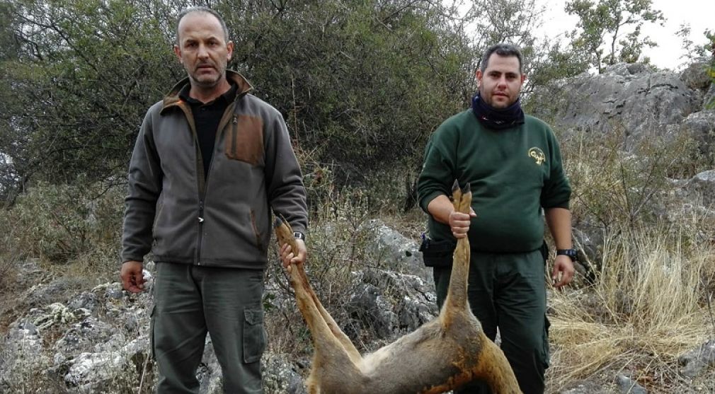 Κυνηγετικός Σύλλογος Καρδίτσας: Θηροφύλακες εντόπισαν ομάδα κυνηγών να θηρεύει ζαρκάδι