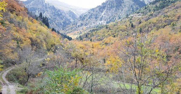 «Οξυά, Χωριό με μέλλον»: Δύο μήνες θητείας του νέου Συμβουλίου Κοινότητας Οξυάς