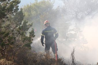 Δασική πυρκαγιά στο Ξινονέρι έκαψε περί τα 7 στρέμματα