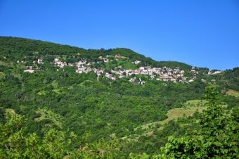 Κάλεσμα για αιτιολόγηση προσφοράς στον μειοδότη του έργου για τη δασική αναψυχή στη θέση «Στεφάνι» Μορφοβουνίου