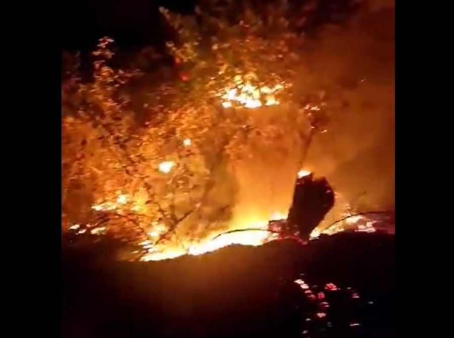 Άμεση επέμβαση της Π.Υ. Καρδίτσας απέτρεψε τα χειρότερα σε δασική πυρκαγιά στο Μορφοβούνι (+Βίντεο)