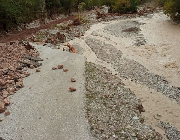 Δημ. Παπακώστας: &quot;Κραυγή αγωνίας από Πετριλιώτη αιρετό μόνιμο κάτοικο: Βοηθήστε μας!&quot;