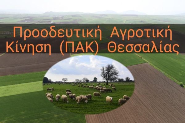 ΠΑΚ Θεσσαλίας: Άλλα στα λόγια, άλλα στα χαρτιά για την ενίσχυση των κτηνοτρόφων!