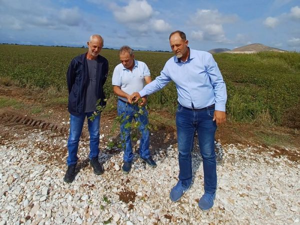 Η &quot;Λαϊκή Συσπείρωση Δήμου Παλαμά&quot; για τις αυτοψίες σε καλλιέργειες Πέτρινου και Ιτέας που επλήγησαν από την κακοκαιρία