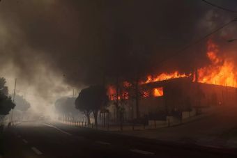 Πυρκαγιά στην Αττική: Σχεδόν 100 σπίτια κάηκαν – Το 10% των καμένων εκτάσεων ήταν δάσος