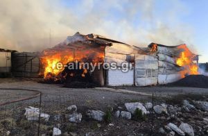 Αλμυρός: Μεγάλη φωτιά σε κτηνοτροφική μονάδα στο Αχίλλειο