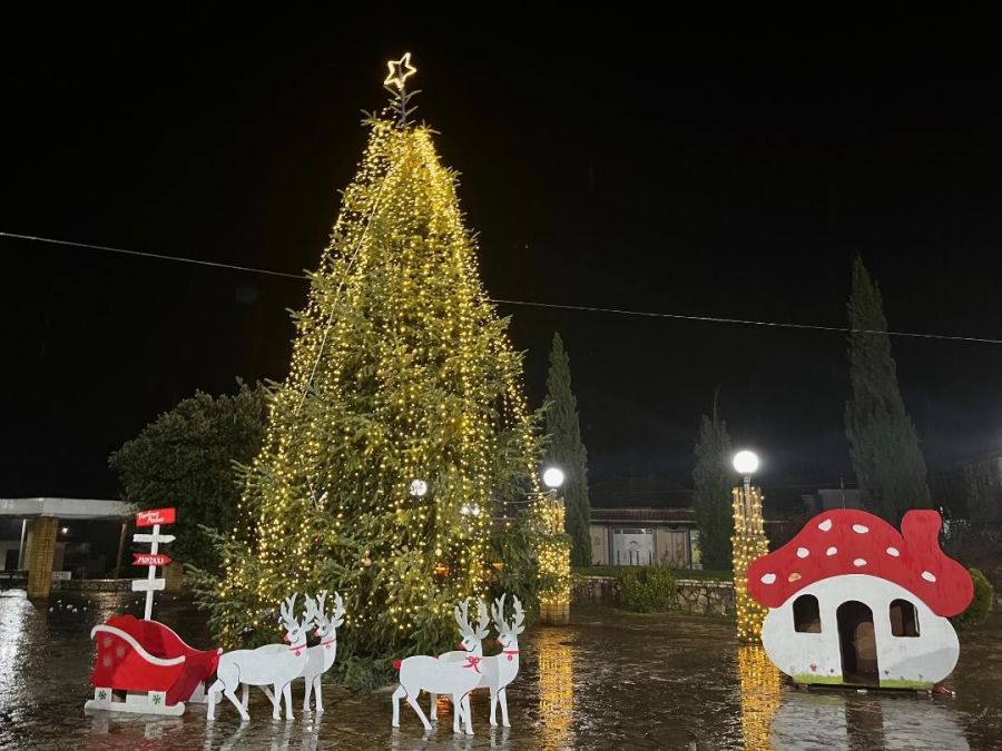 Φωταγωγήθηκε το Χριστουγεννιάτικο δέντρο στο Μουζάκι