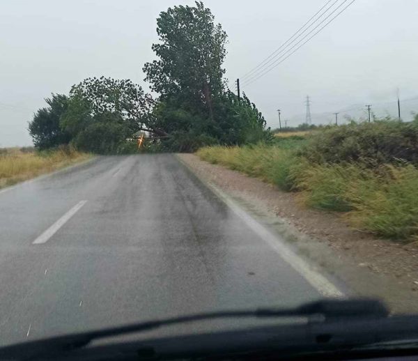 Πτώση δέντρου σε επαρχιακό δρόμο στο Καλλιφώνι Καρδίτσας