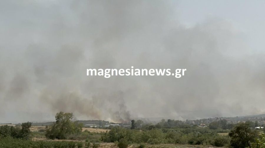 Καίγεται κτηνοτροφική μονάδα έξω από το Βελεστίνο - Μεγάλη η φωτιά, πνέει δυνατός άνεμος