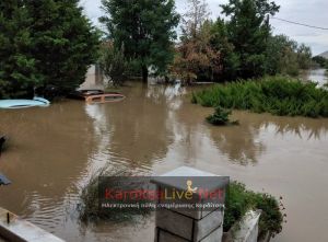 Έκκληση για βοήθεια από τριμελή οικογένεια στον Παλαμά