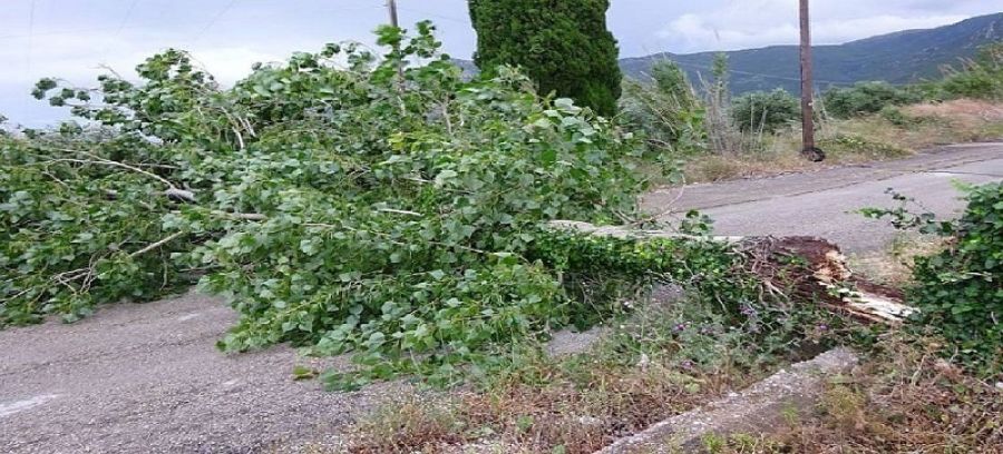 Κακοκαιρία &quot;Bora&quot;: Πάνω από 3.000 κλήσεις στο Πυροσβεστικό Σώμα σε λιγότερο από 48 ώρες