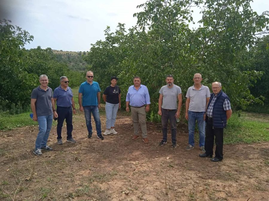 Στα χαλαζόπληκτα χωριά της Ελασσόνας μικτό κλιμάκιο της Περιφέρειας του Δήμου και του ΕΛΓΑ - από Τρίτη(10/9) η υποβολή αιτήσεων για παραγωγούς